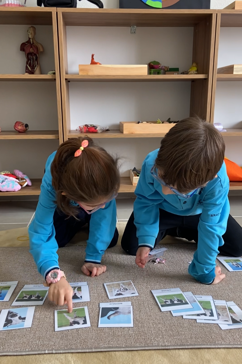 Çocukların Montessori Atölyesinde Çalışması