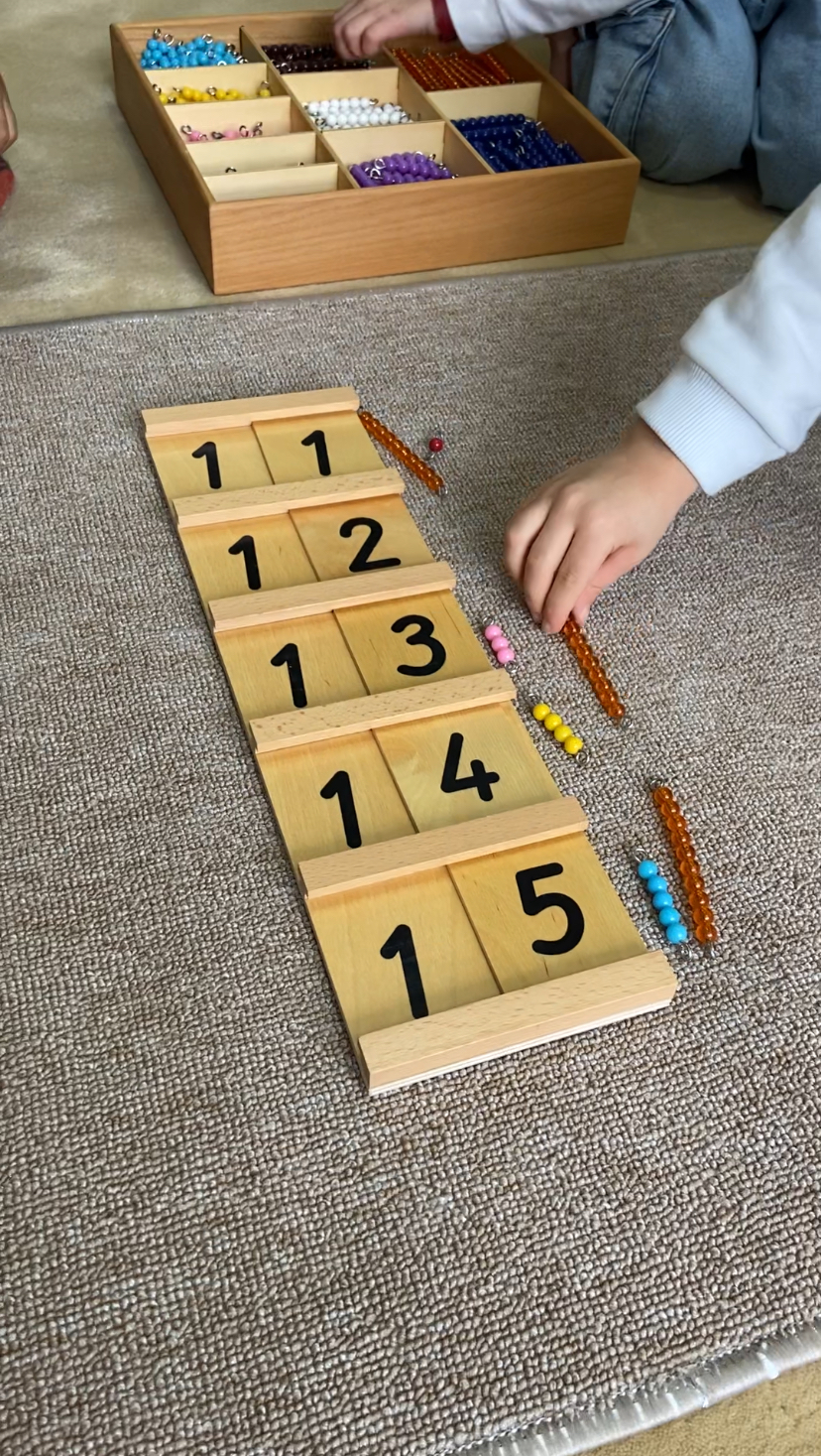 Montessori Eğitim Ortamı