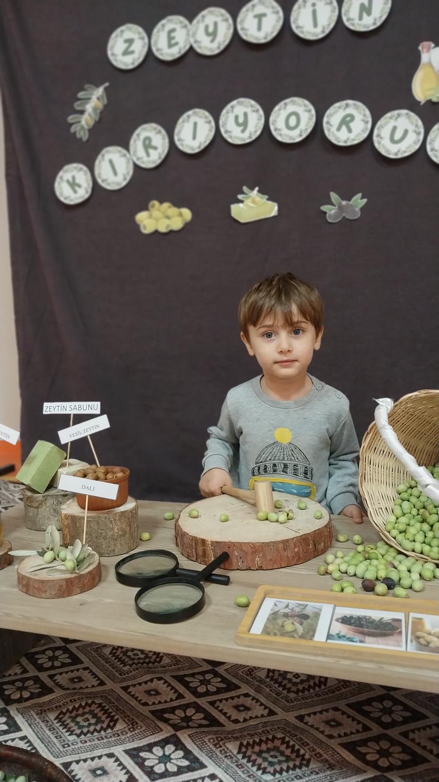 Portfolyo çalışmaları